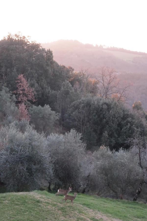 Agriturismo Escaia Farm stay *