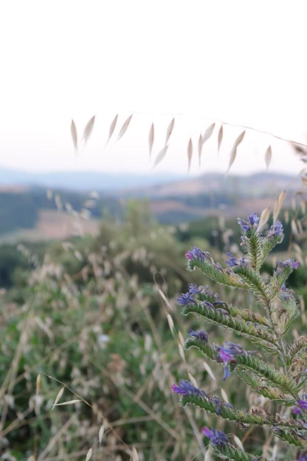 Agriturismo Escaia * Volterra